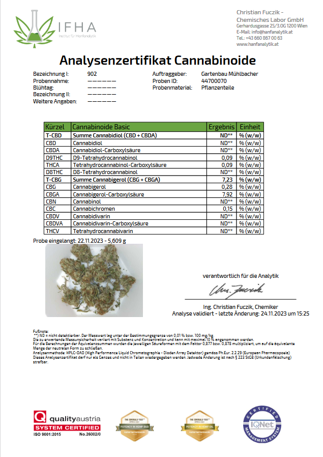 Forrest Skunk 7,23% CBG