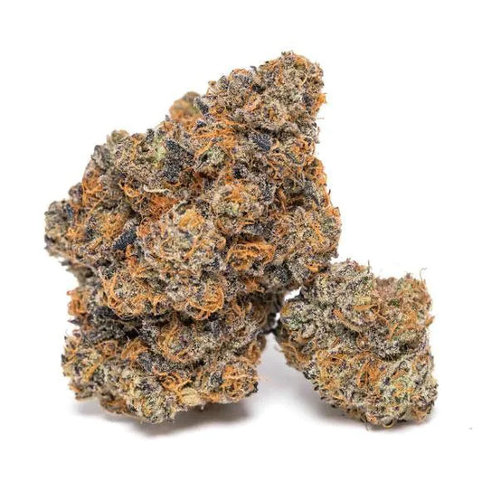 Sämling King Louis Garcia THC: 30%+          Indica Dominant