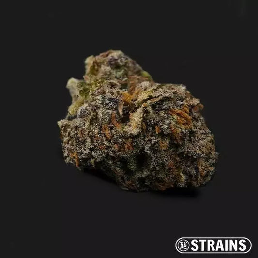 Steckling Chocolookies (Limitierte Auflage) THC: 30 > %   Indica Dominant